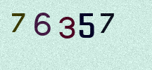 Visual Confirmation Security Code