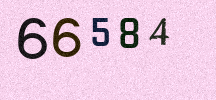 Visual Confirmation Security Code