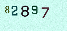 Visual Confirmation Security Code