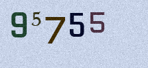 Visual Confirmation Security Code