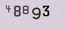 Visual Confirmation Security Code