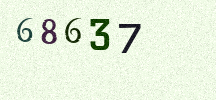 Visual Confirmation Security Code